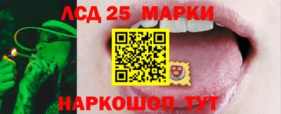 прущий лед Шелехов