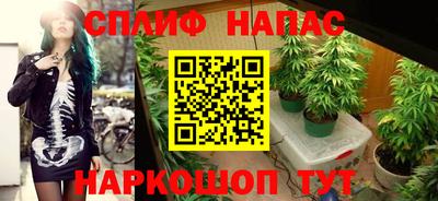 прущая мука Шахты