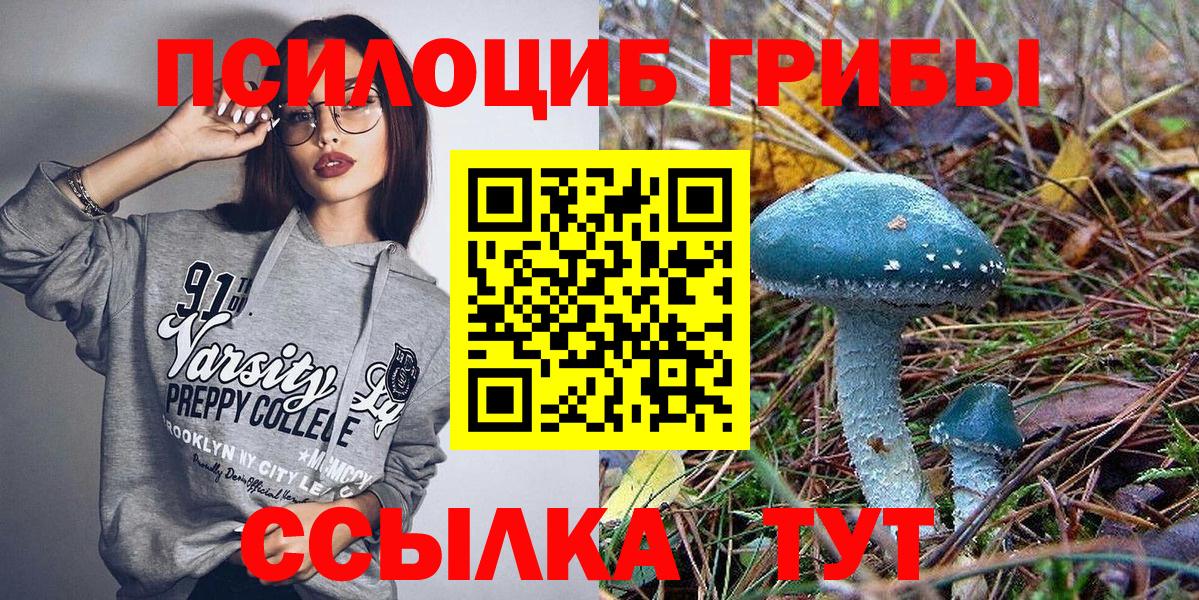 Псилоцибиновые грибы GOLDEN TEACHER  Псилоцибиновые грибы Psilocybine cubensis  Богородицк  Вход с VPN 